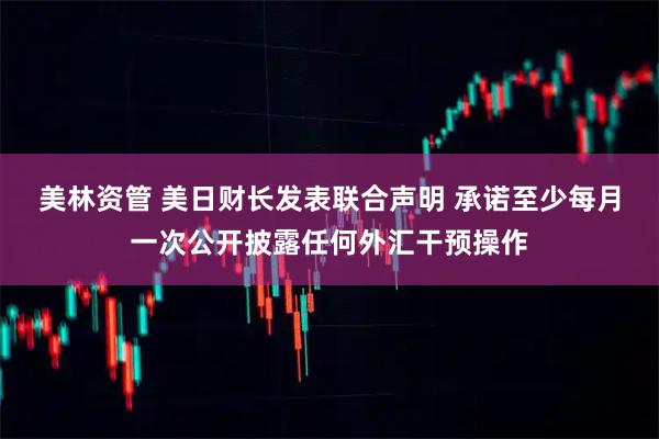 美林资管 美日财长发表联合声明 承诺至少每月一次公开披露任何外汇干预操作