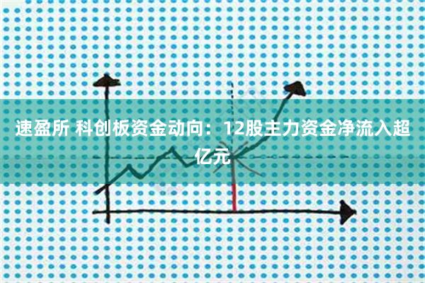 速盈所 科创板资金动向：12股主力资金净流入超亿元