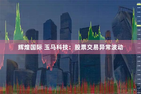 辉煌国际 玉马科技：股票交易异常波动