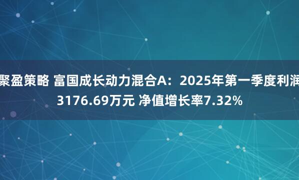 聚盈策略 富国成长动力混合A：2025年第一季度利润3176.69万元 净值增长率7.32%