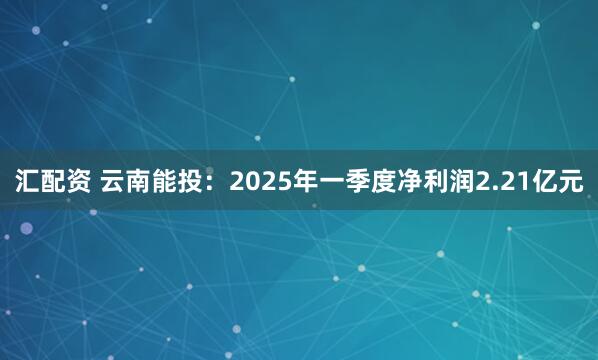 汇配资 云南能投：2025年一季度净利润2.21亿元