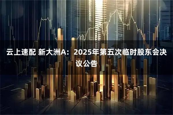 云上速配 新大洲A：2025年第五次临时股东会决议公告
