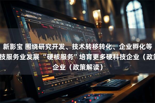 新影宝 围绕研究开发、技术转移转化、企业孵化等推进科技服务业发展 “硬核服务”培育更多硬科技企业（政策解读）