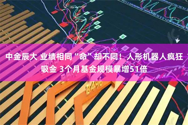 中金辰大 业绩相同“命”却不同！人形机器人疯狂吸金 3个月基金规模暴增51倍