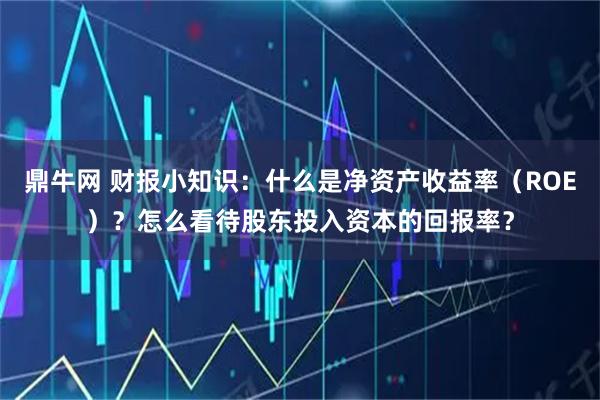 鼎牛网 财报小知识：什么是净资产收益率（ROE）？怎么看待股东投入资本的回报率？