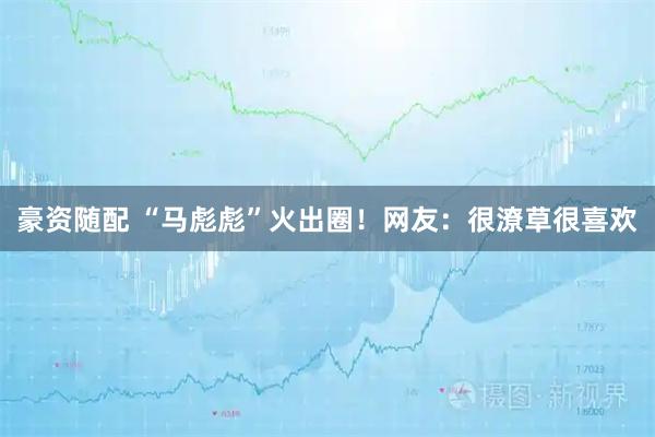 豪资随配 “马彪彪”火出圈！网友：很潦草很喜欢