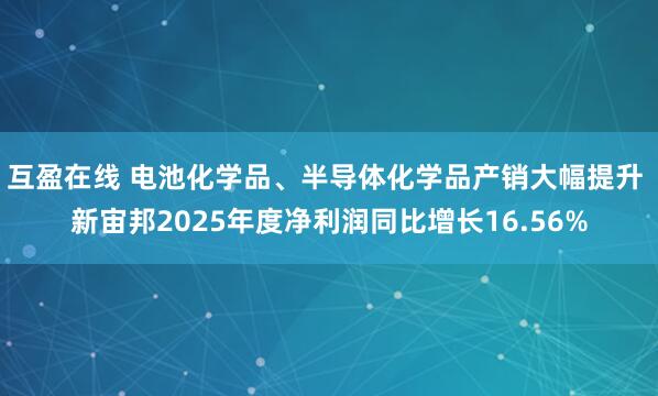 互盈在线 电池化学品、半导体化学品产销大幅提升 新宙邦2025年度净利润同比增长16.56%
