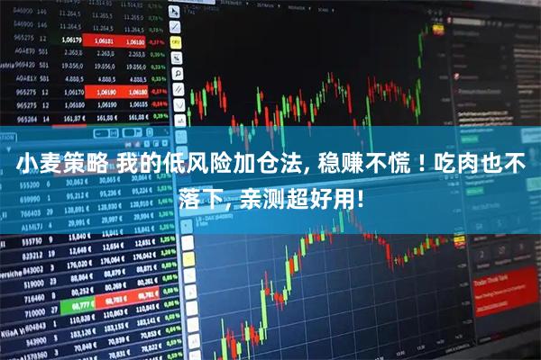 小麦策略 我的低风险加仓法, 稳赚不慌 ! 吃肉也不落下, 亲测超好用!