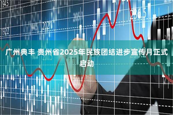 广州典丰 贵州省2025年民族团结进步宣传月正式启动